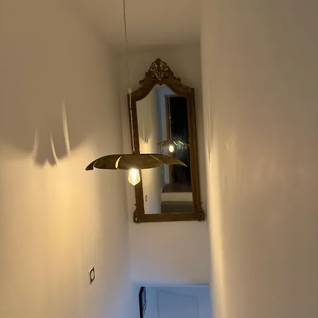 Maison Design 